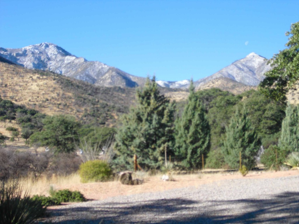 RP Dahlke's backyard