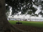 Beare Park with a view to the Elizabeth Bay Marina