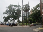 Beare Park on The Esplanade at Elizabeth Bay, where Noel has her little flat